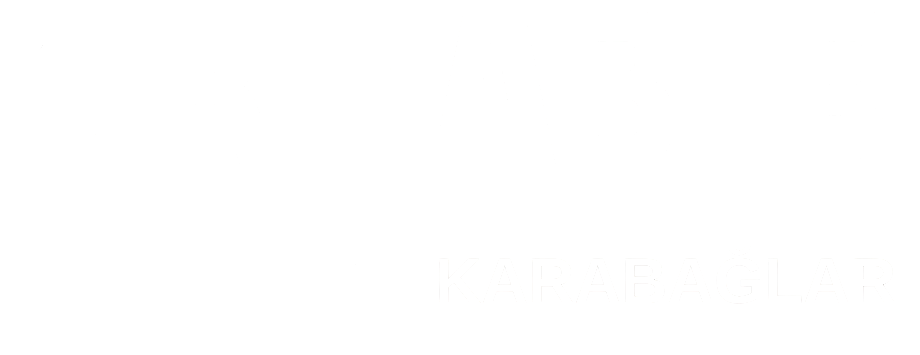 theme-sticky-logo-alt