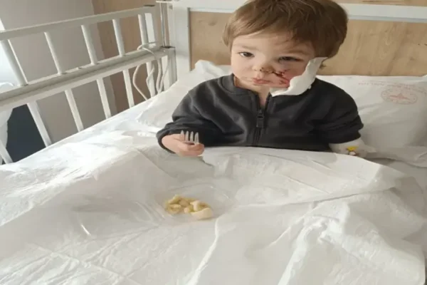 İki kardeşe saldıran pitbullun sahibi konuştu: ...
