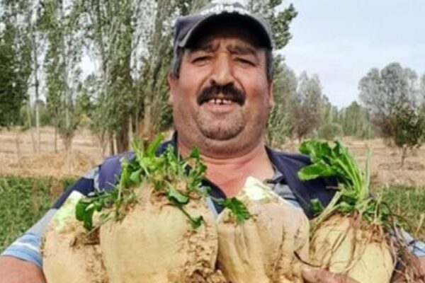 Kanlı tartışma: Yeğeninin eski eşi tarafından taba... Kanlı tartışma: Yeğeninin eski eşi tarafından taba...