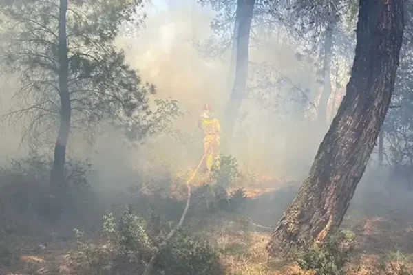 Çanakkale’de tarım arazisinde yangın!