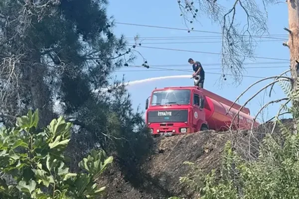 Antalya’da 2 orman yangını!