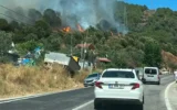 Yalova’da orman yangını! Yalova’da orman yangını!