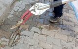 Evde yılan alarmı: İtfaiye devreye girdi