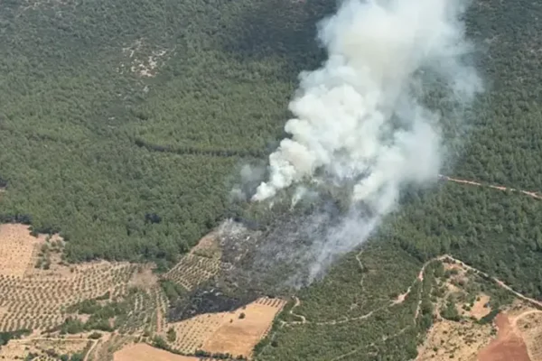 Muğla’da orman yangını!