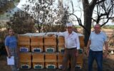 Yangında kovanları zarar gören arıcıya Büyükşehir’...